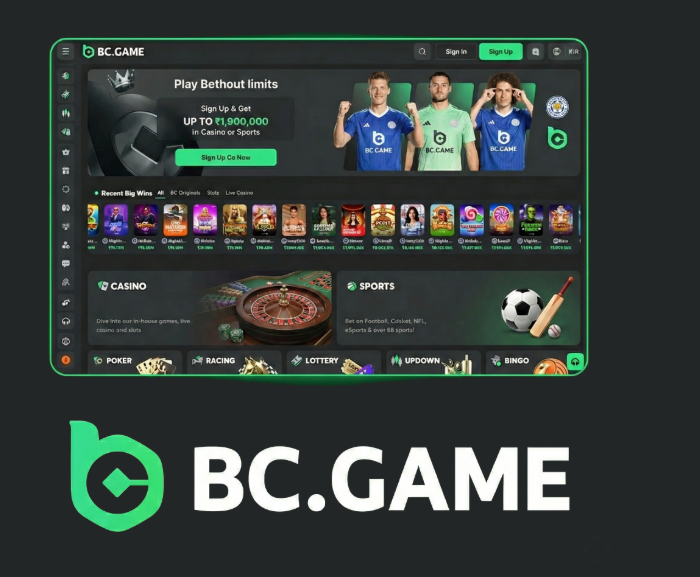 Understanding BC.Game Plinko A Guide to Winning Big -300916713